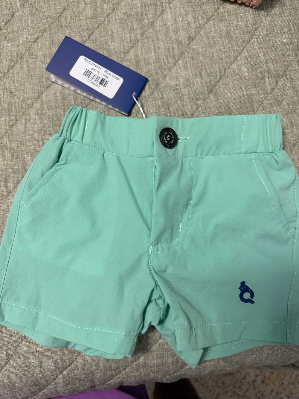 Boys blue quail Green Shorts w